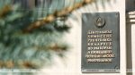 "Барані Божа, мяне пачнуць "скланяць", што мая група не прагаласавала". Галасаваць – права ці абавязак?