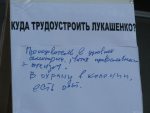 Лябедзька на пікеце прапаноўваў шукаць іншае месца працы для Лукашэнкі (фота)