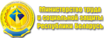 What is the purpose of State Department of Labour Inspection of Ministry of Labor and Social Security?