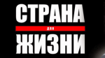 "Страна для жизни" – "экстрэмісцкае фармаванне" і новыя затрыманні: пераслед 30 лістапада